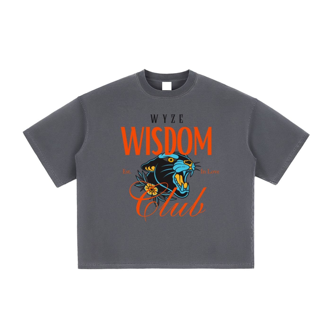 Vintage Washed Boxy T-Shirt