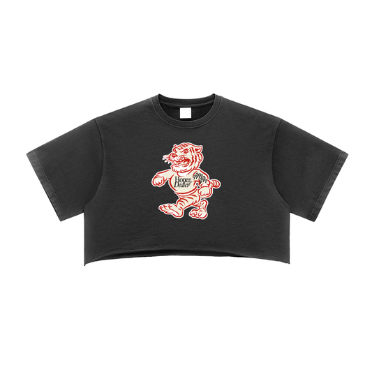 Snow Washed Raw Edge Crop Top