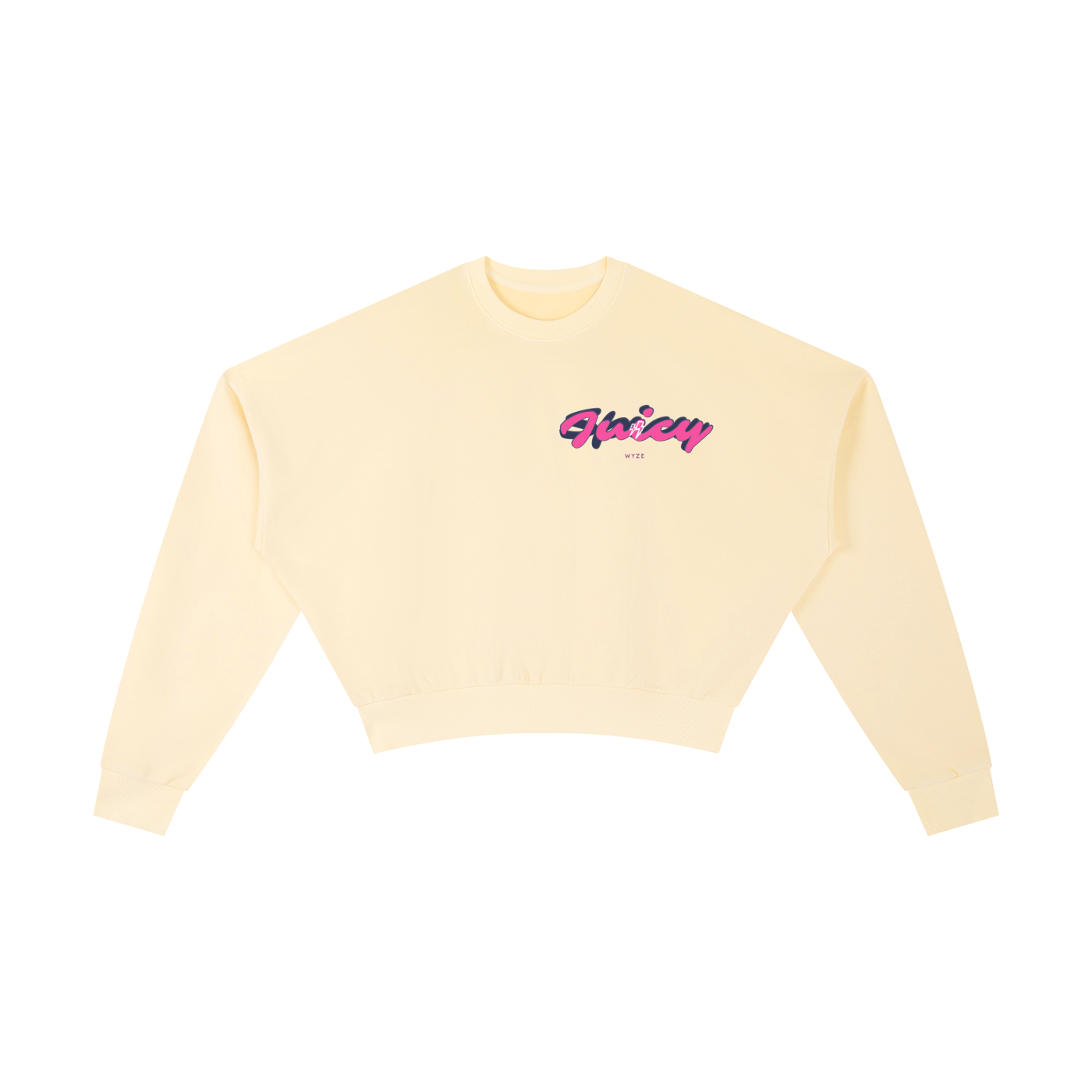 Vintage Washed Cropped Sweatshirt