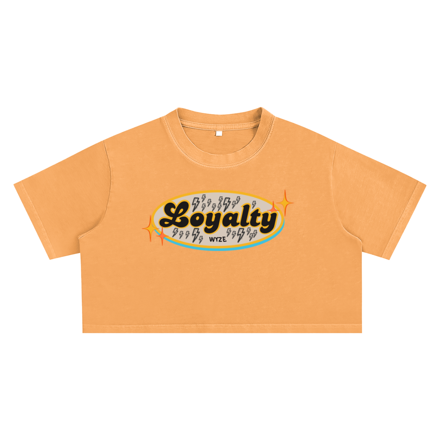 Snow Washed Crop Top