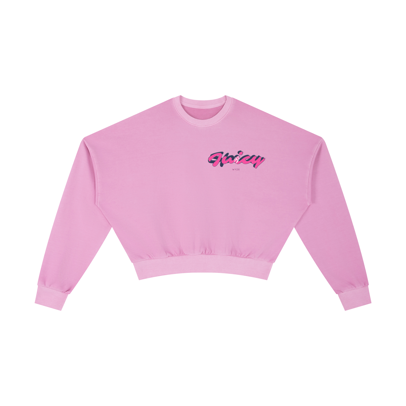 Vintage Washed Cropped Sweatshirt