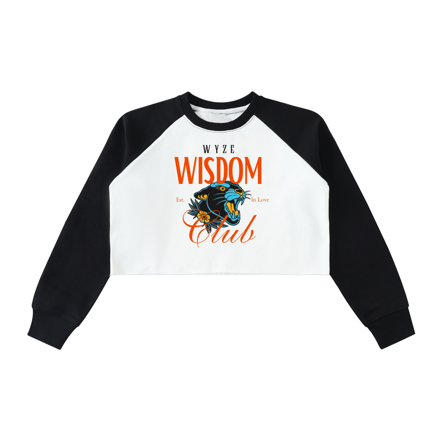 Raw-Hem Color-Block Raglan Crop Sweatshirt
