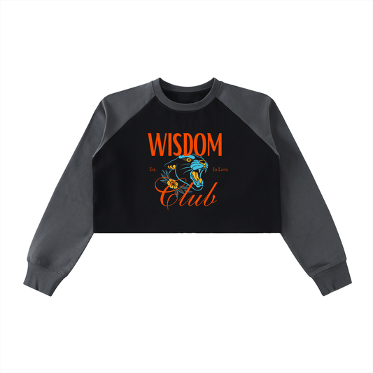 Raw-Hem Color-Block Raglan Crop Sweatshirt