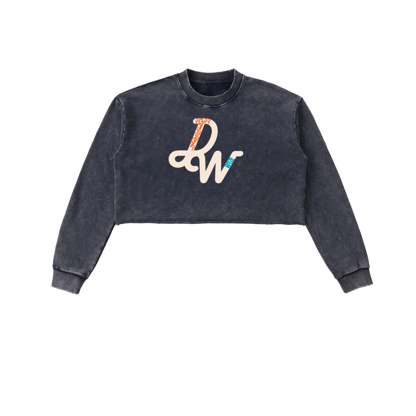 Snow Washed Raw Edge Cropped Sweatshirt